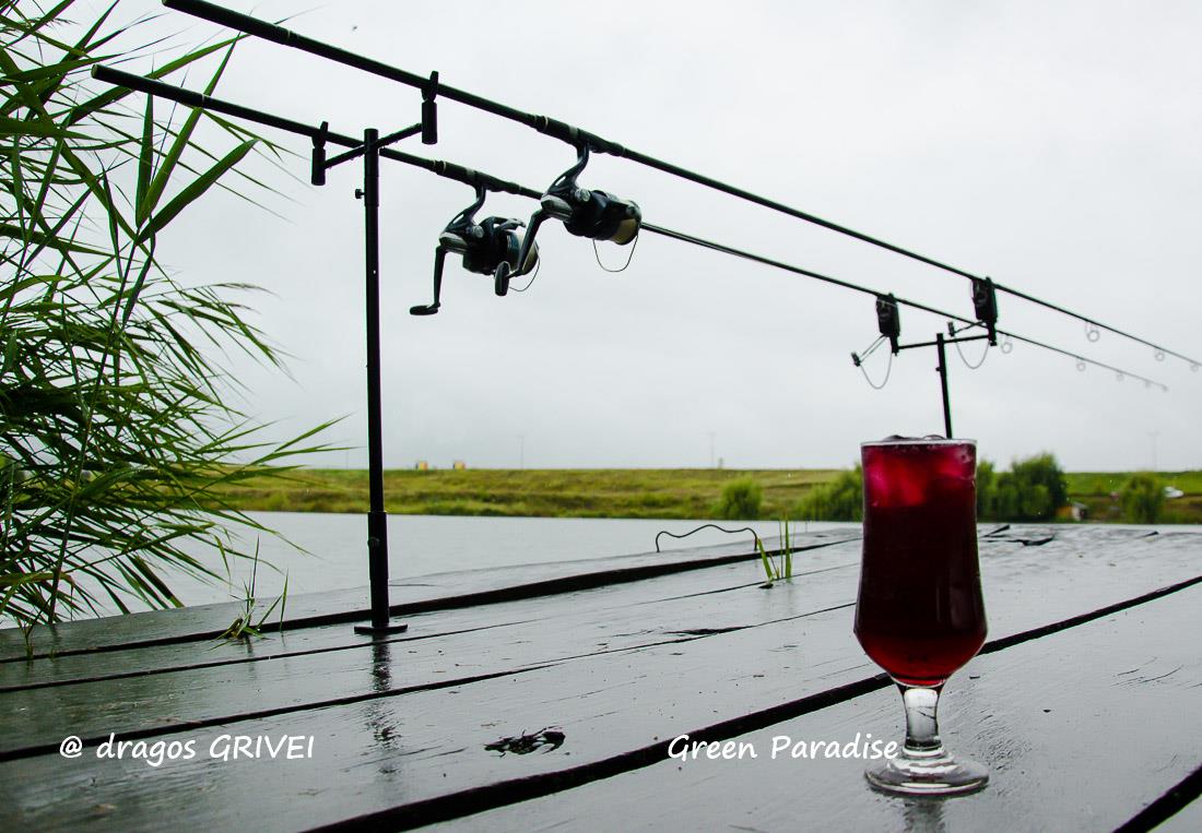 balta oltenitei - 20160812-pic7405.jpg